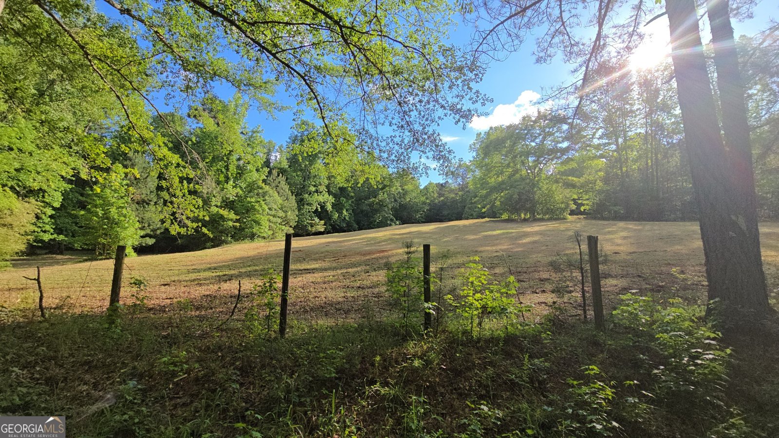 204 Lunsford Road Jackson - 84