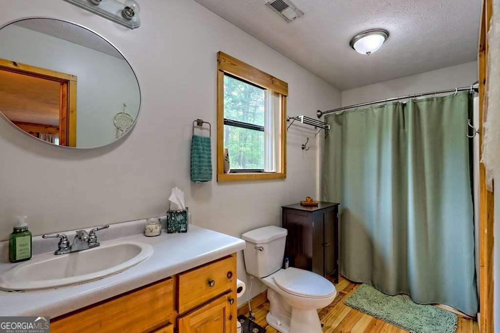 428 Gibbs Road Blairsville - 22