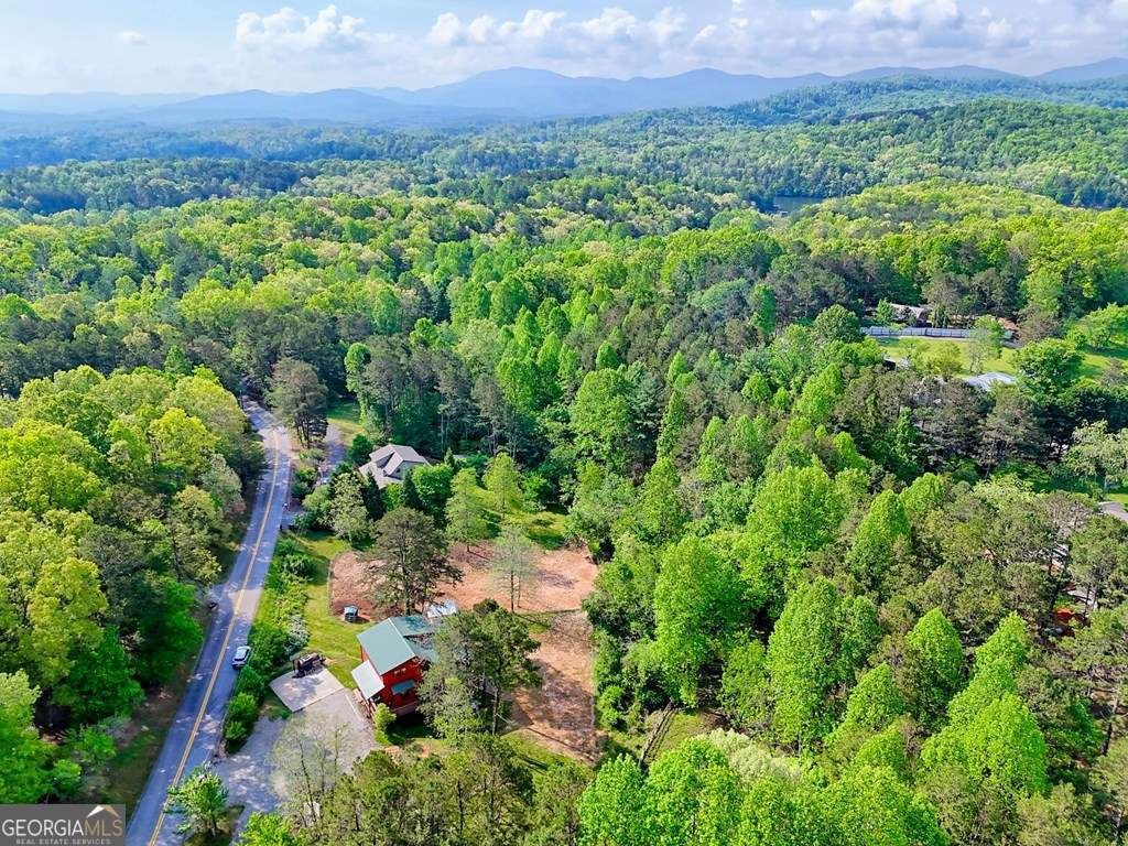 428 Gibbs Road Blairsville - 55