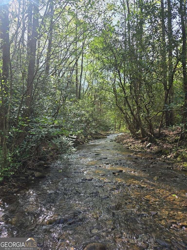 2839 Helton Creek Road Blairsville - 38