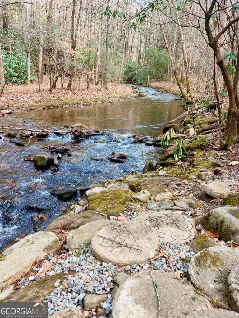 2839 Helton Creek Road Blairsville - 43