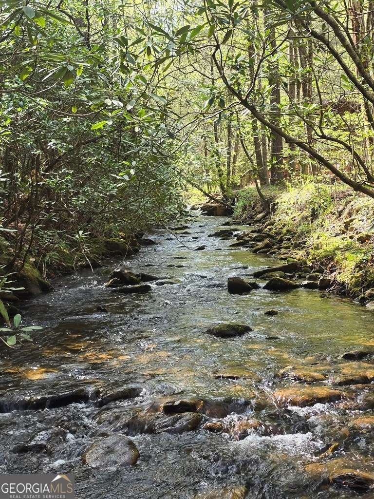 2839 Helton Creek Road Blairsville - 44