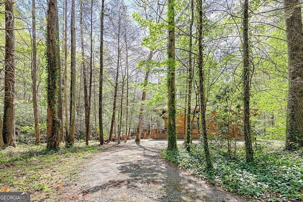 2839 Helton Creek Road Blairsville - 48