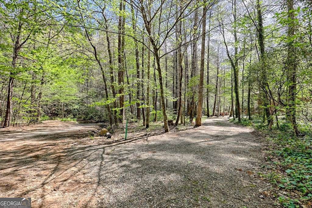 2839 Helton Creek Road Blairsville - 49