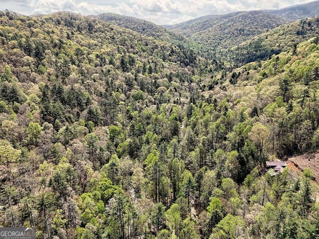 2839 Helton Creek Road Blairsville - 51