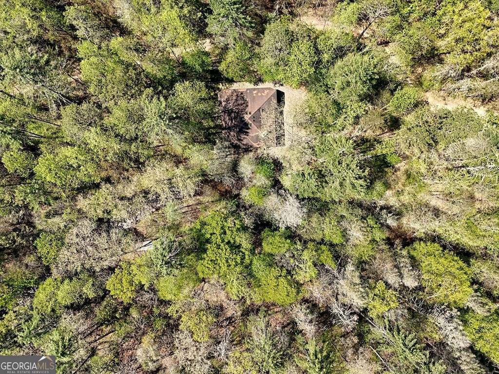 2839 Helton Creek Road Blairsville - 52