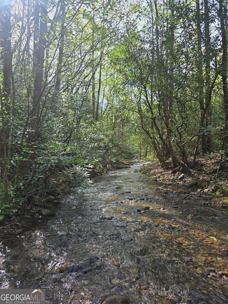 2839 Helton Creek Road Blairsville - 53