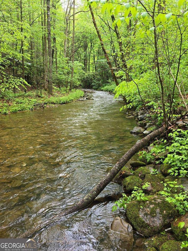 2839 Helton Creek Road Blairsville - 54