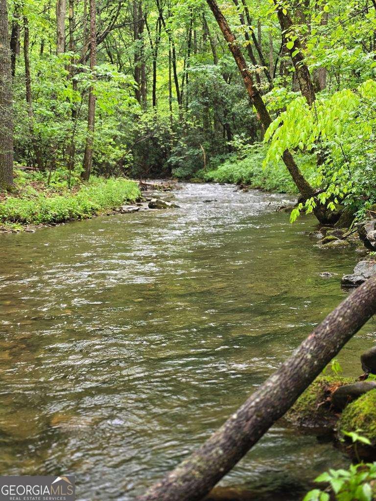 2839 Helton Creek Road Blairsville - 55