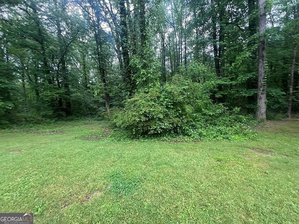 5769 Shadow Creek Drive Lithonia - 47