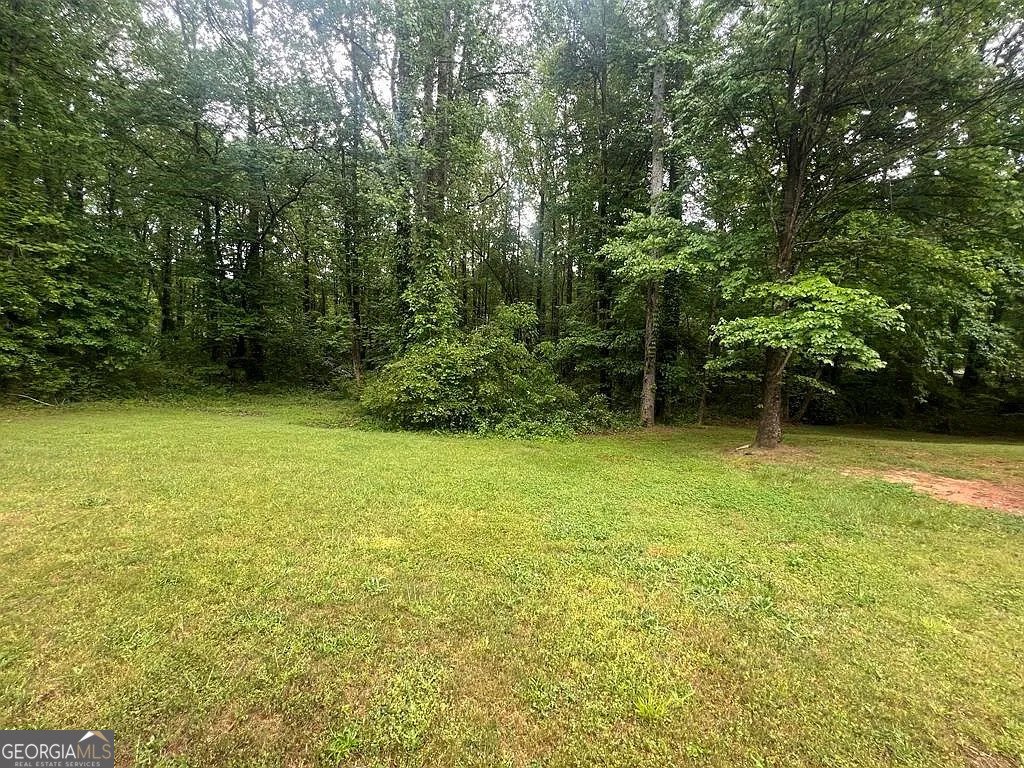 5769 Shadow Creek Drive Lithonia - 49