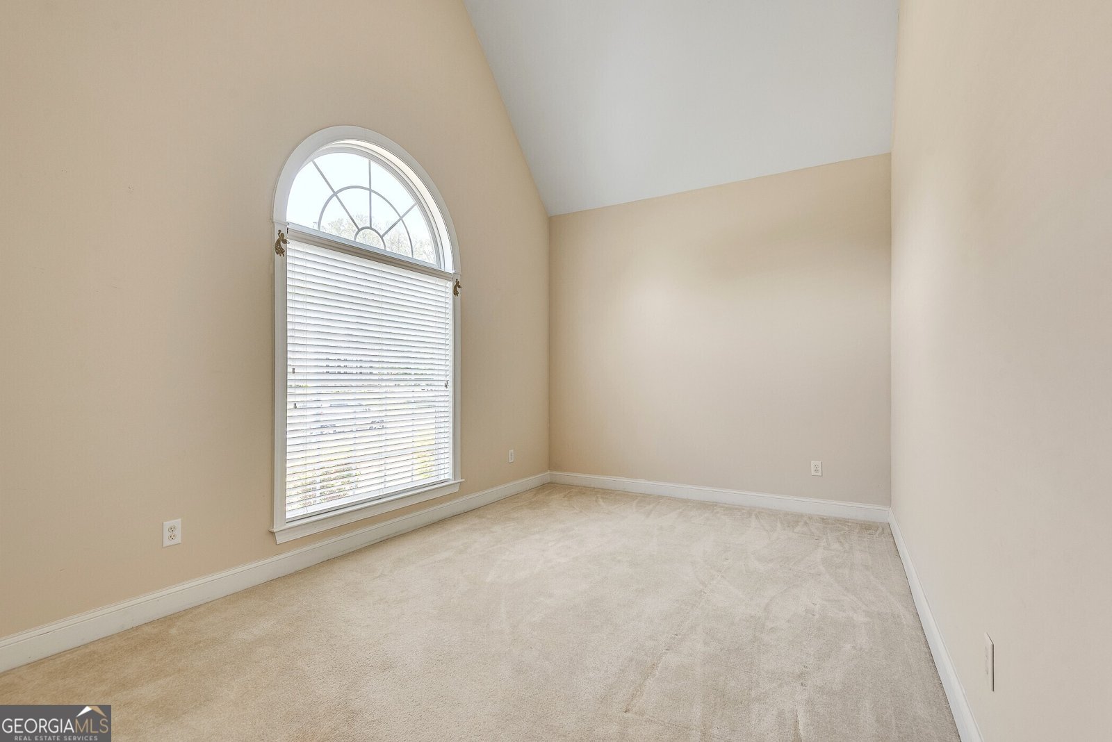 2417 Saint Feagin Place Powder Springs - 13