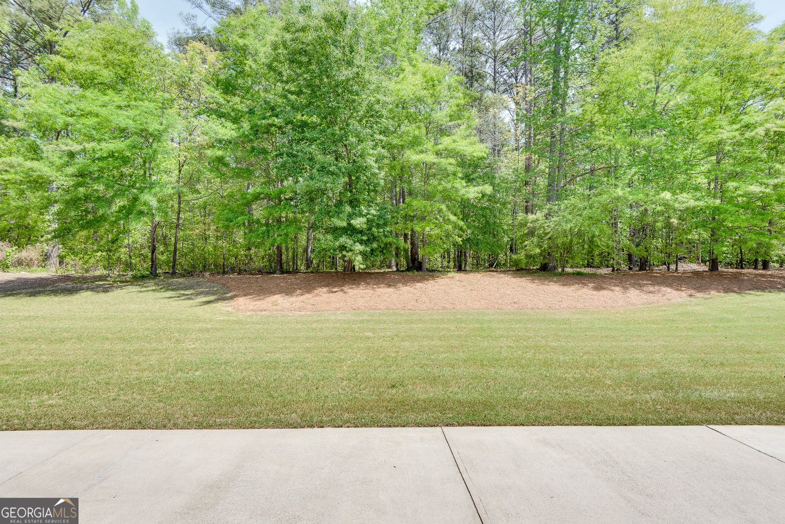2417 Saint Feagin Place Powder Springs - 9