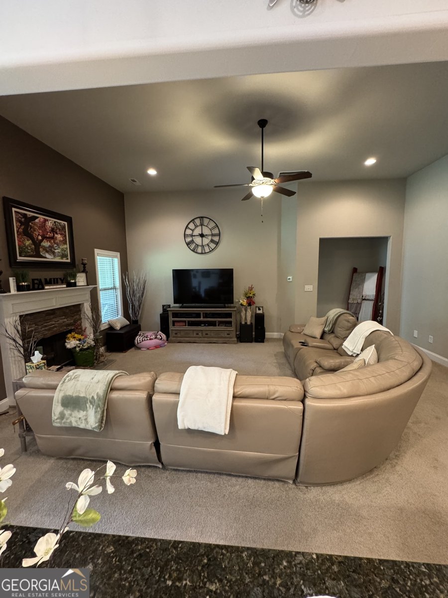 230 Country Lake Drive Senoia - 11