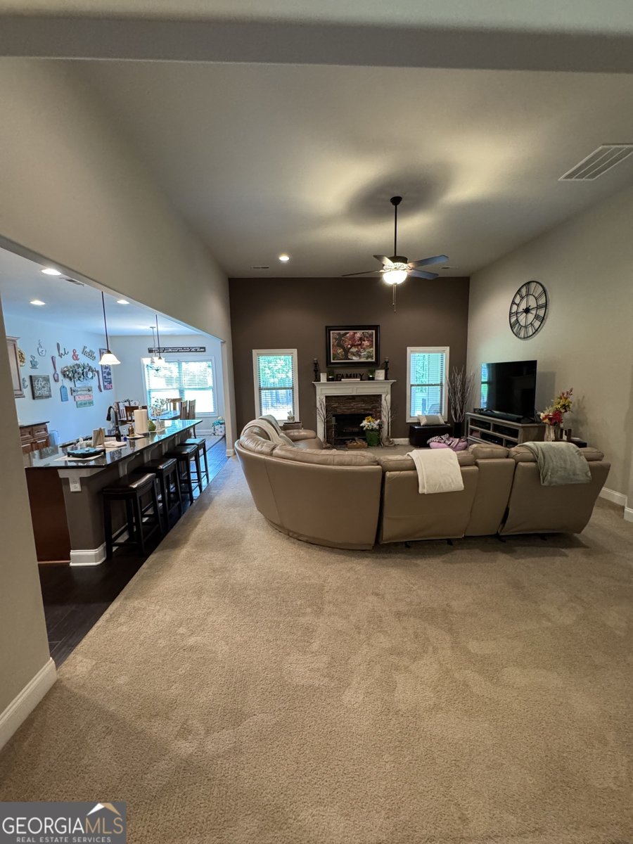 230 Country Lake Drive Senoia - 12