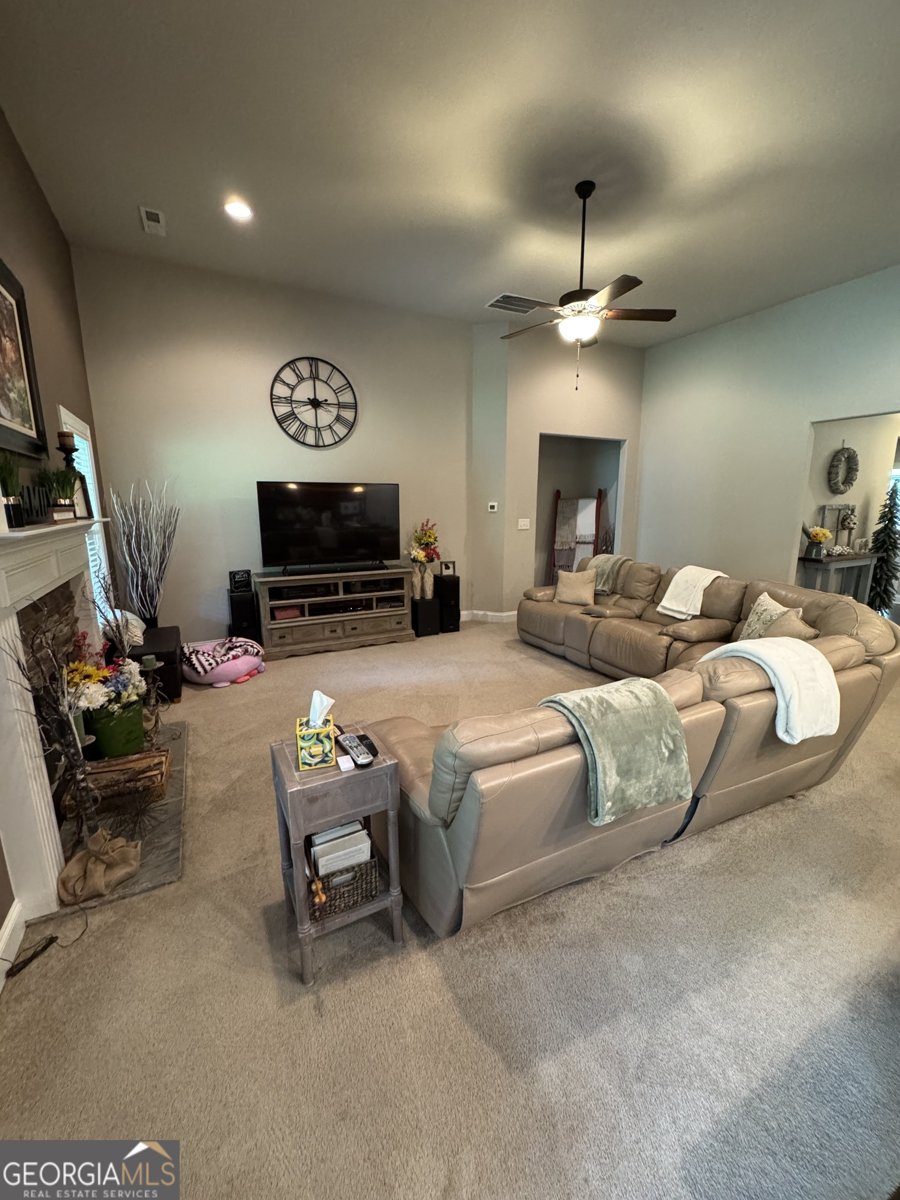 230 Country Lake Drive Senoia - 13