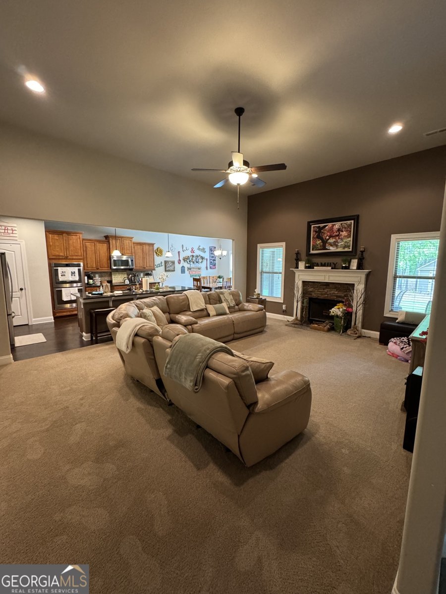 230 Country Lake Drive Senoia - 14