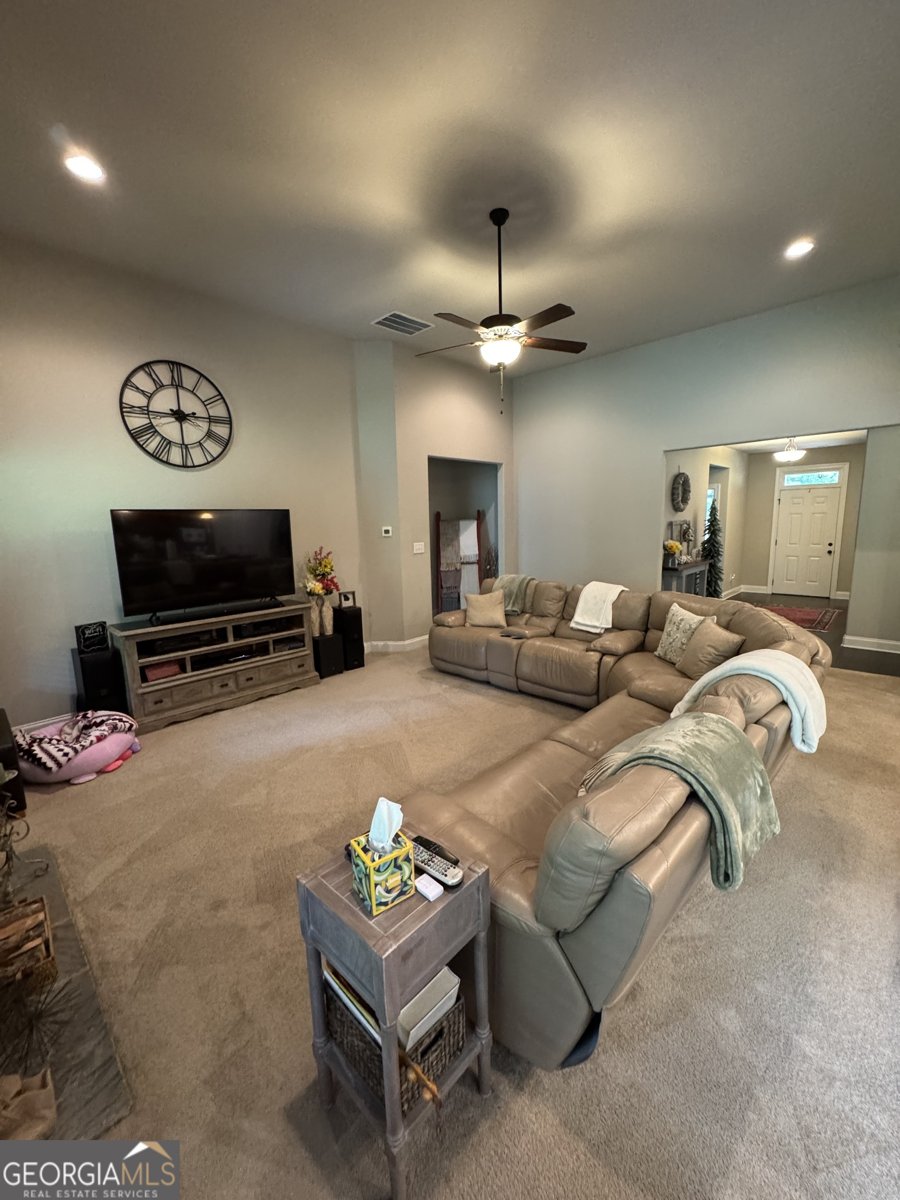 230 Country Lake Drive Senoia - 15