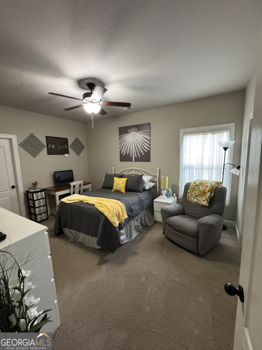 230 Country Lake Drive Senoia - 27