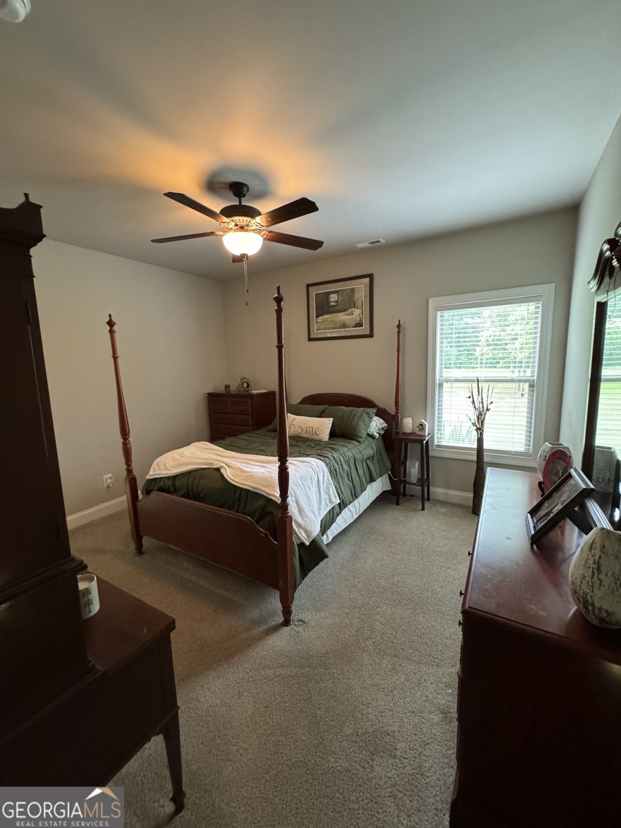 230 Country Lake Drive Senoia - 29