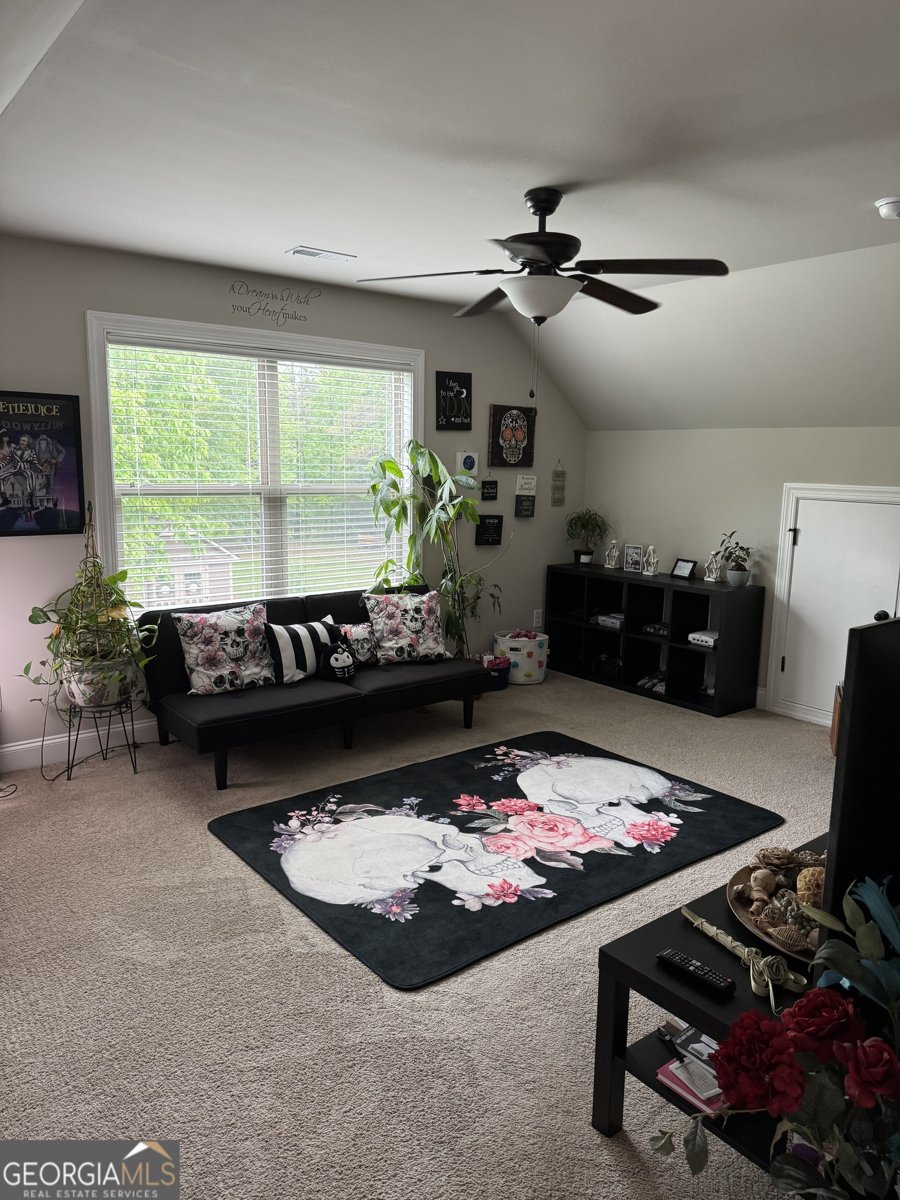 230 Country Lake Drive Senoia - 34