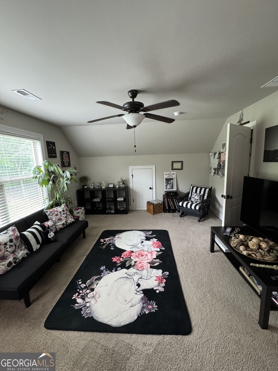 230 Country Lake Drive Senoia - 35