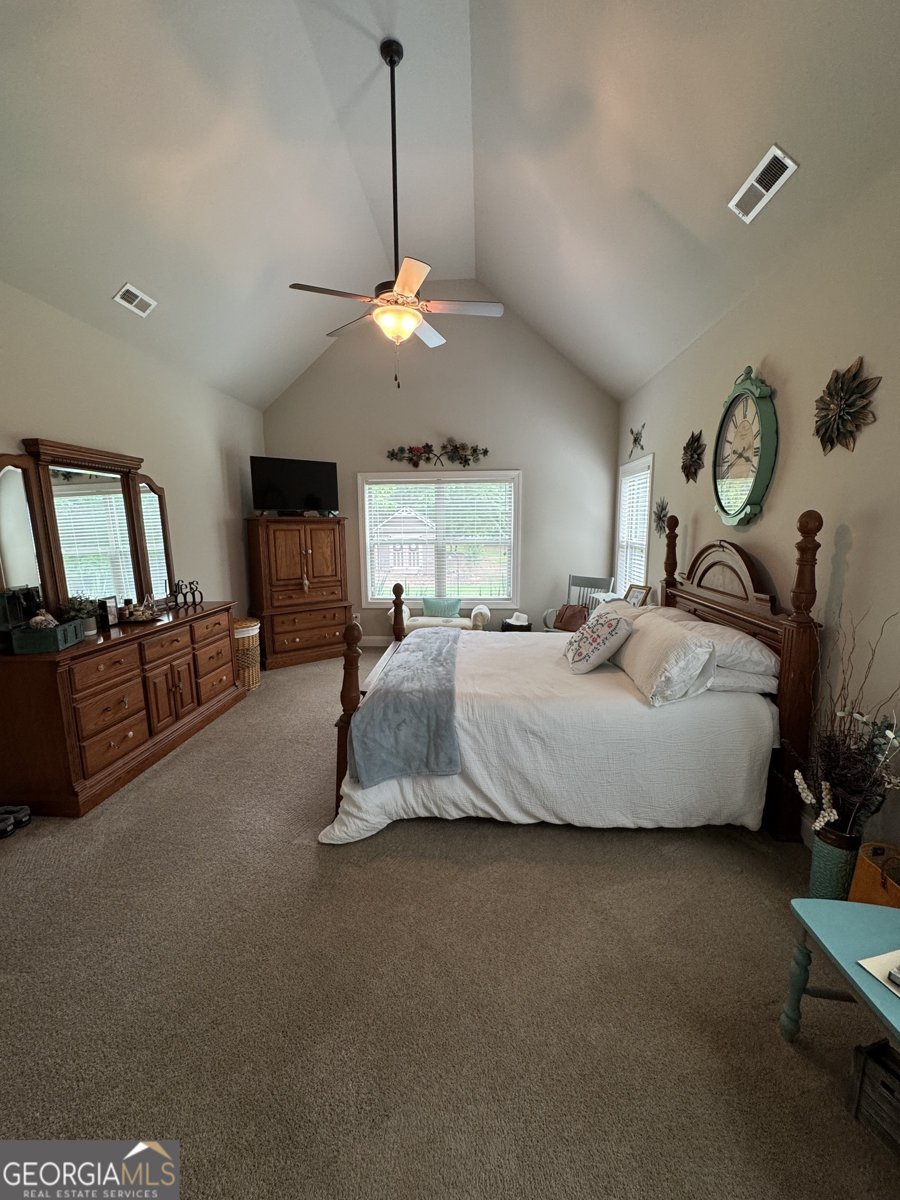 230 Country Lake Drive Senoia - 44