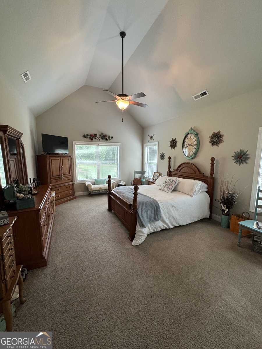 230 Country Lake Drive Senoia - 45