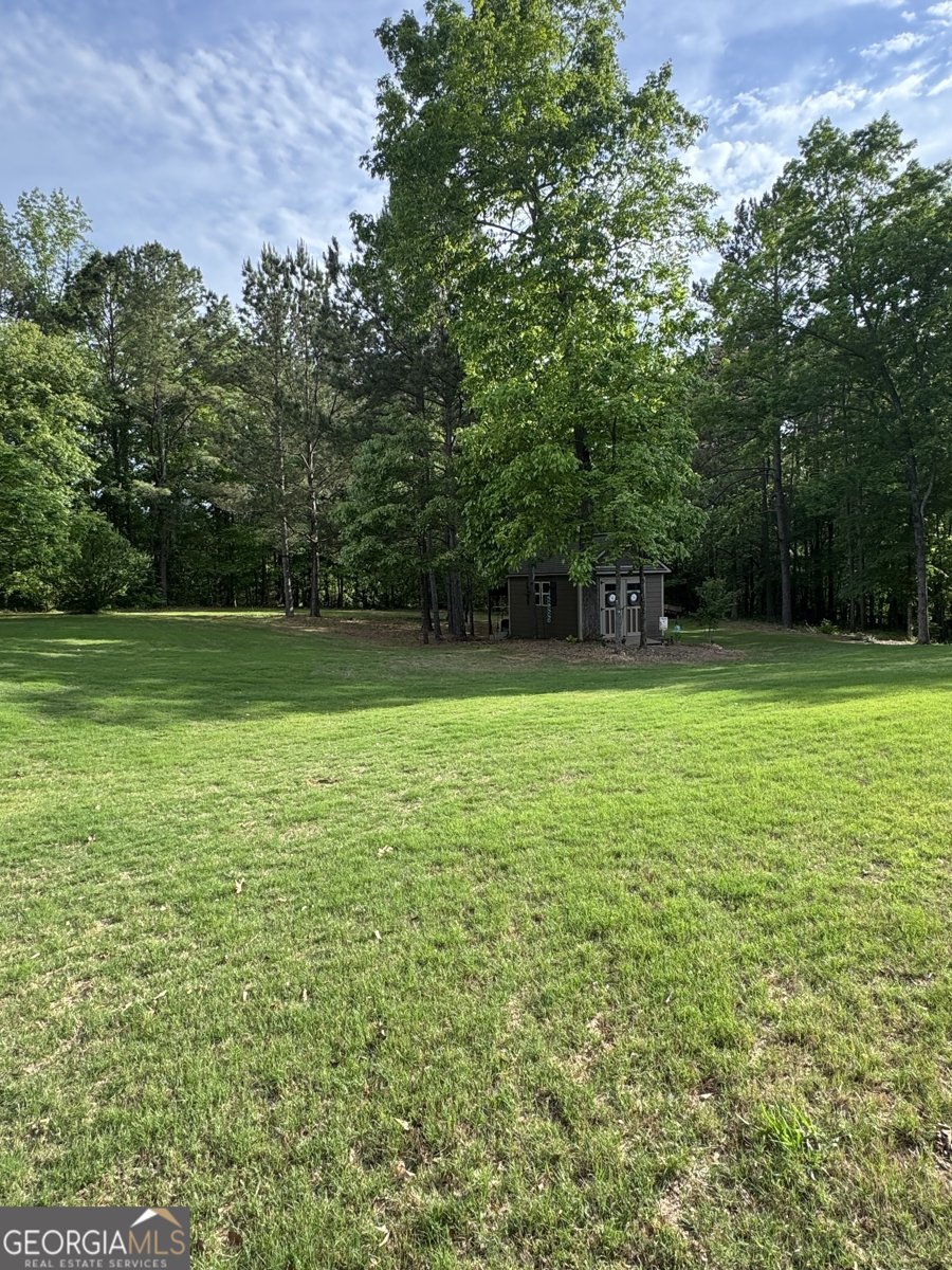 230 Country Lake Drive Senoia - 5