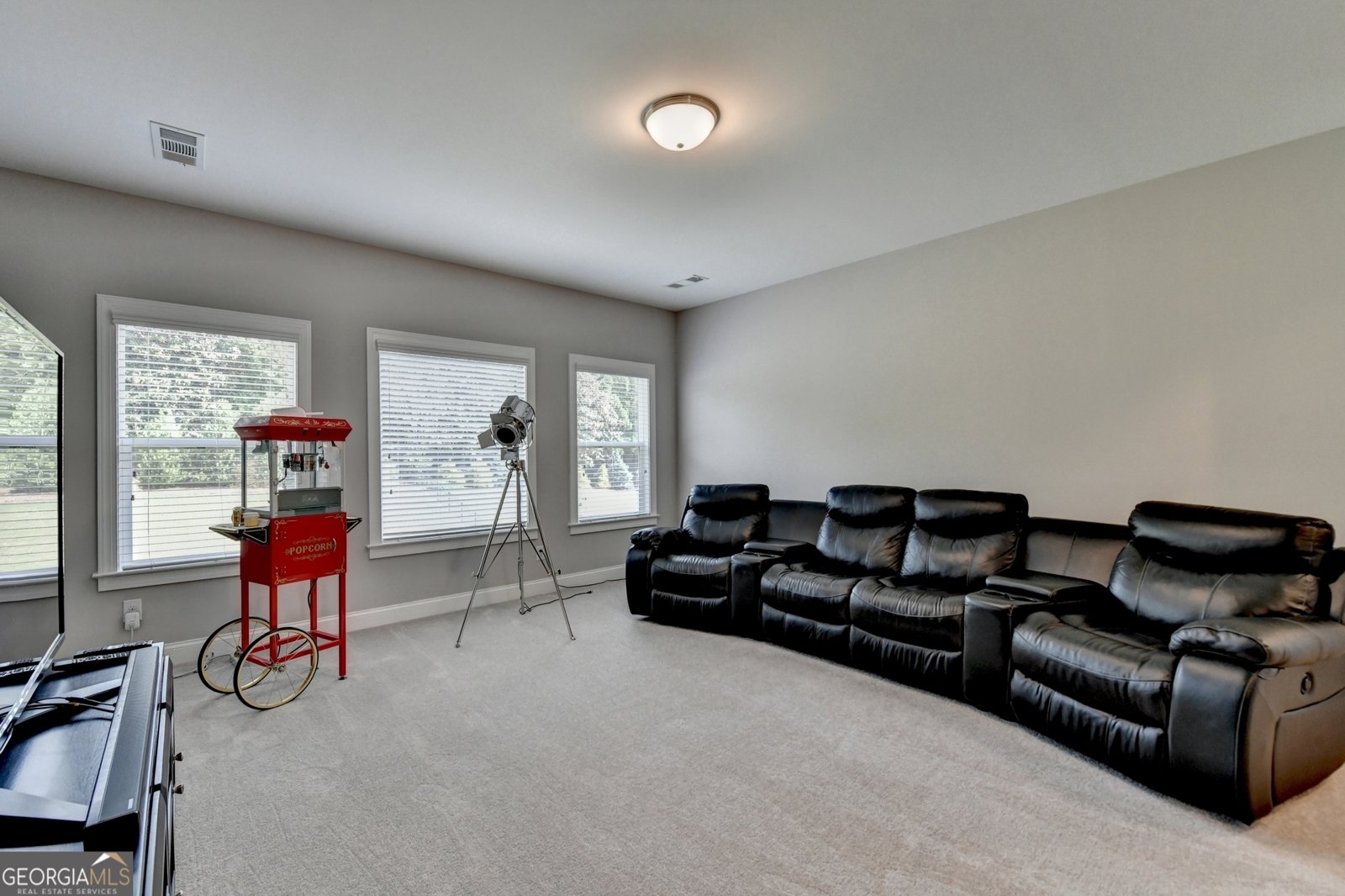 5741 Autumn Flame Drive Braselton - 76