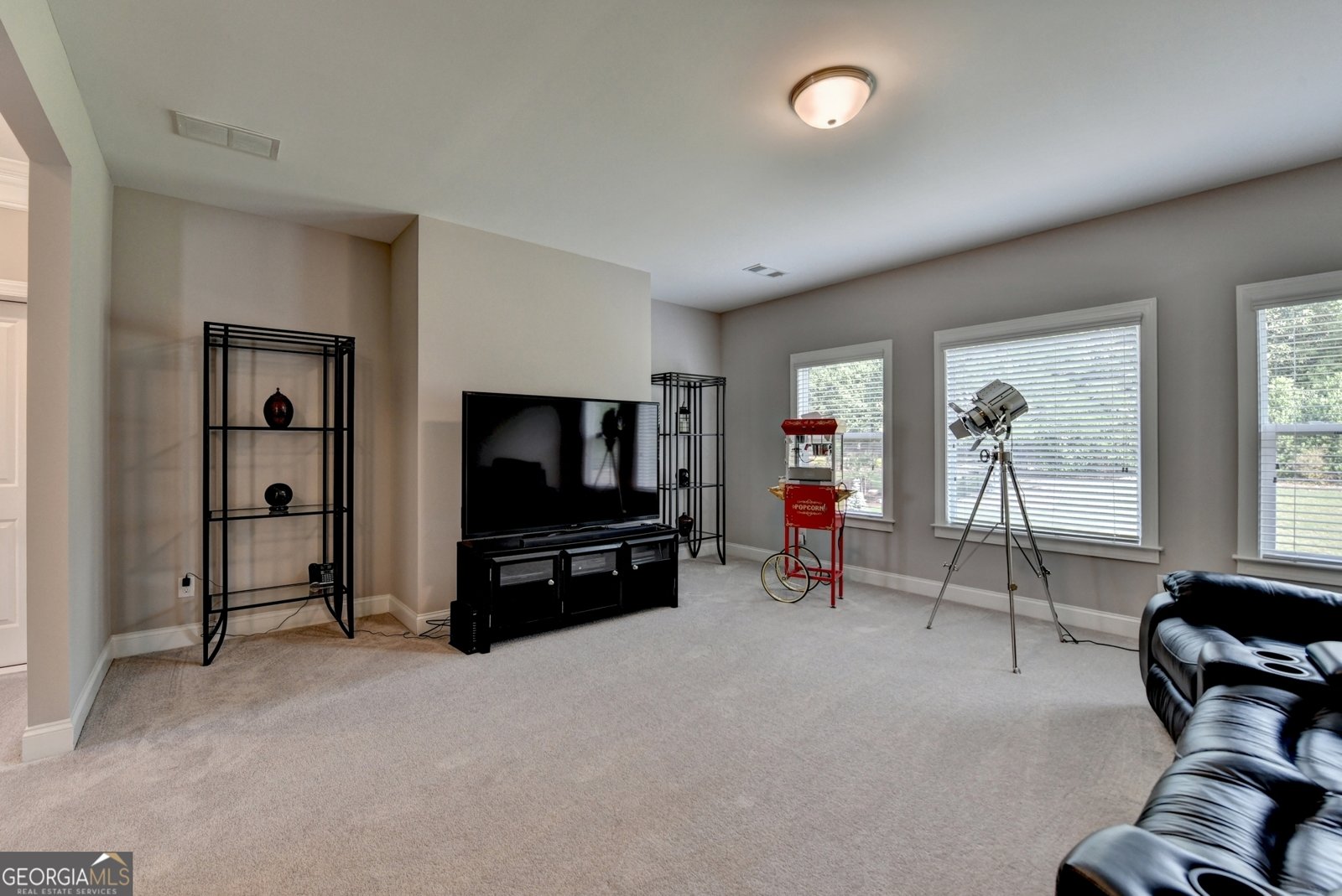 5741 Autumn Flame Drive Braselton - 78