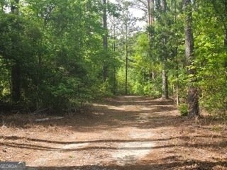 125 Riding Trail Buena Vista - 28