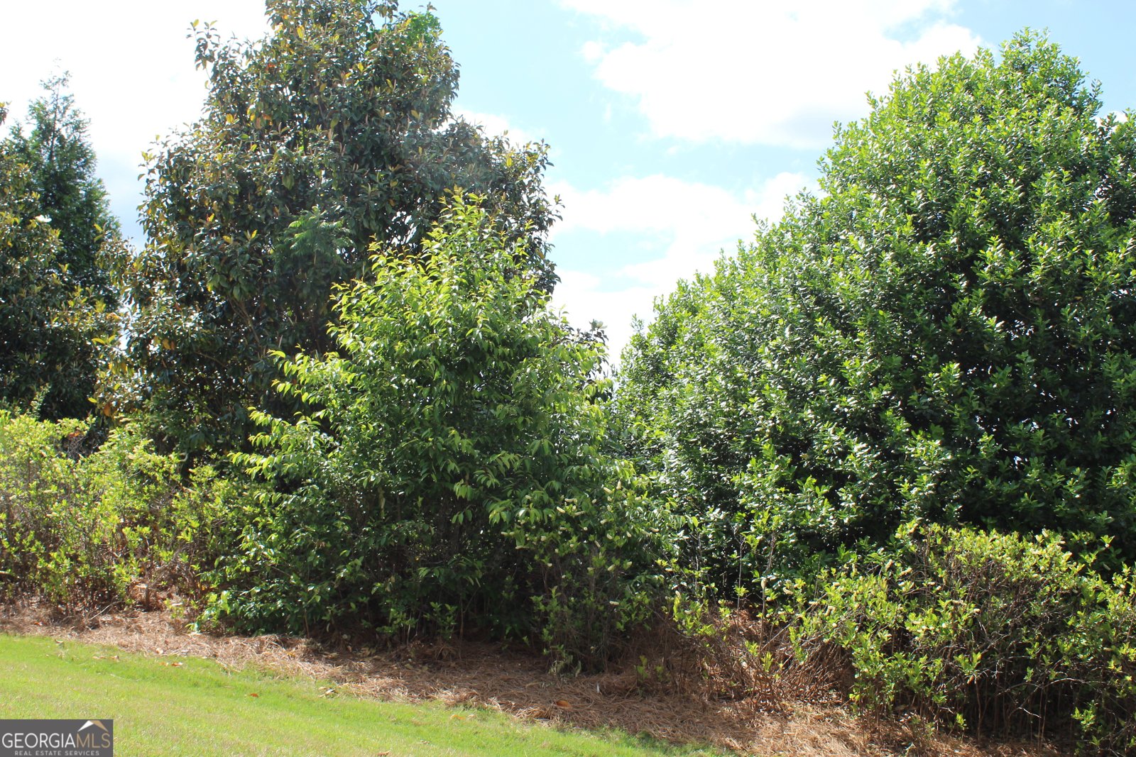 121 Plumleaf Court Griffin - 12