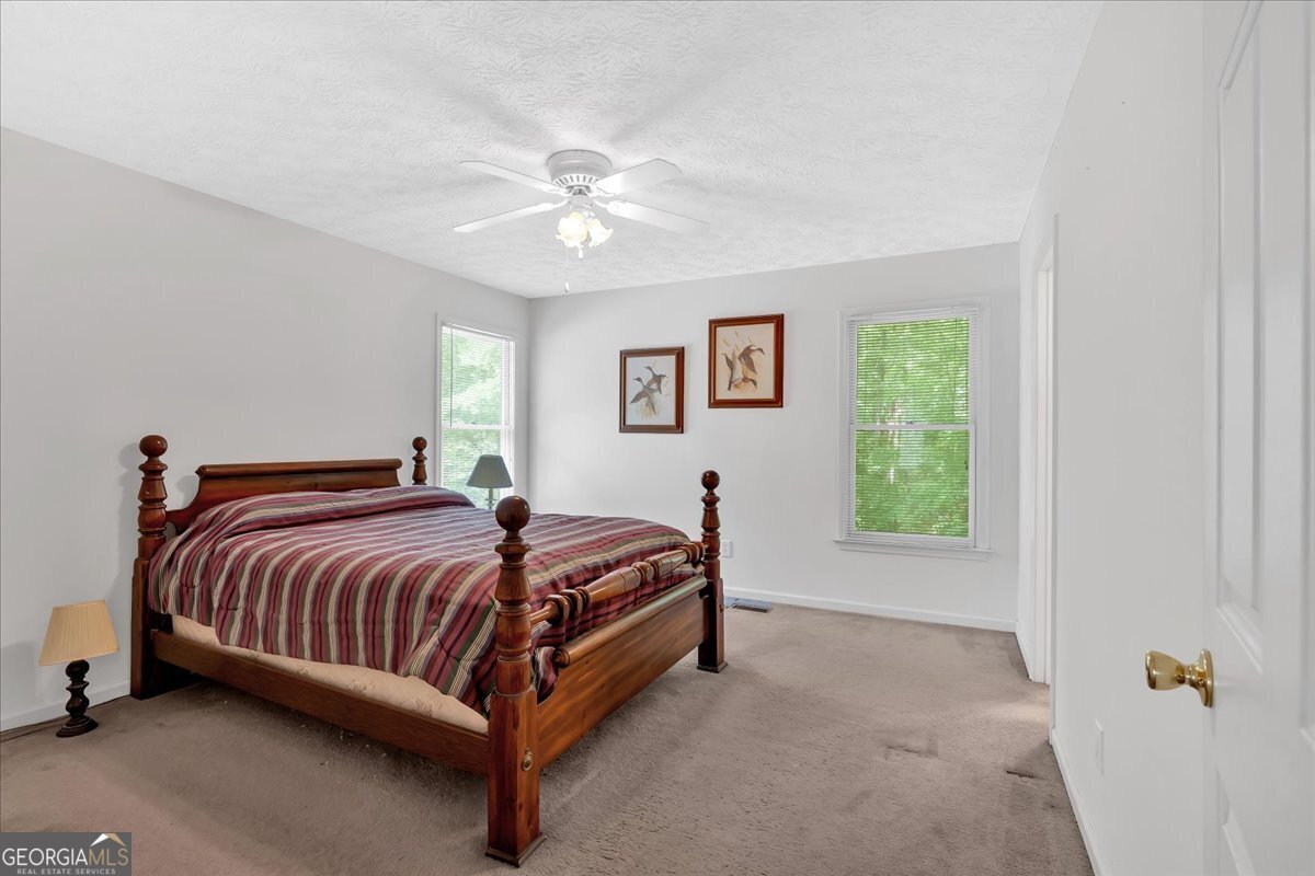 144 Wiley Drive Douglasville - 19