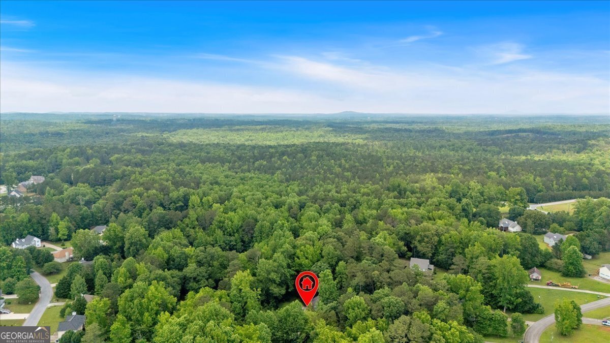 144 Wiley Drive Douglasville - 50
