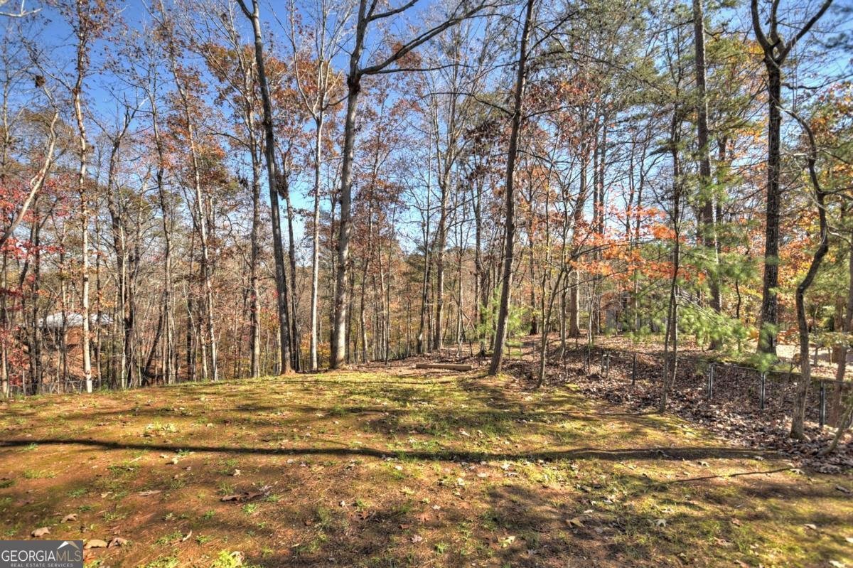 20 Mohawk Trail Ellijay - 49