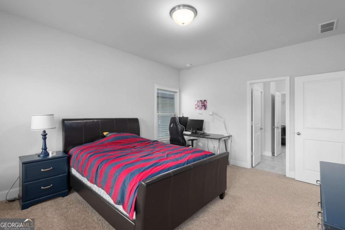 3380 Labrouste Cove Duluth - 41