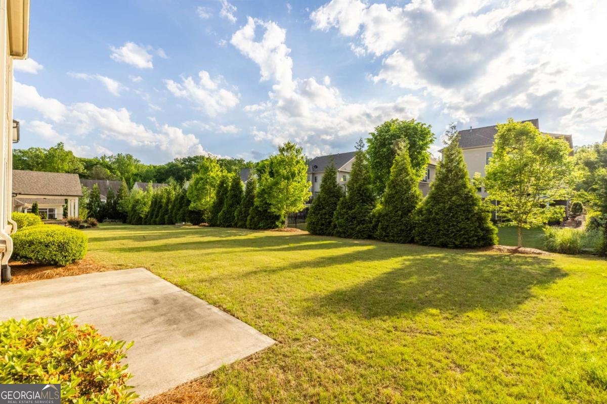 3380 Labrouste Cove Duluth - 74