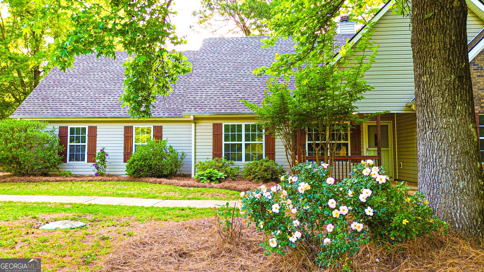 530 Austin Drive McDonough - 33