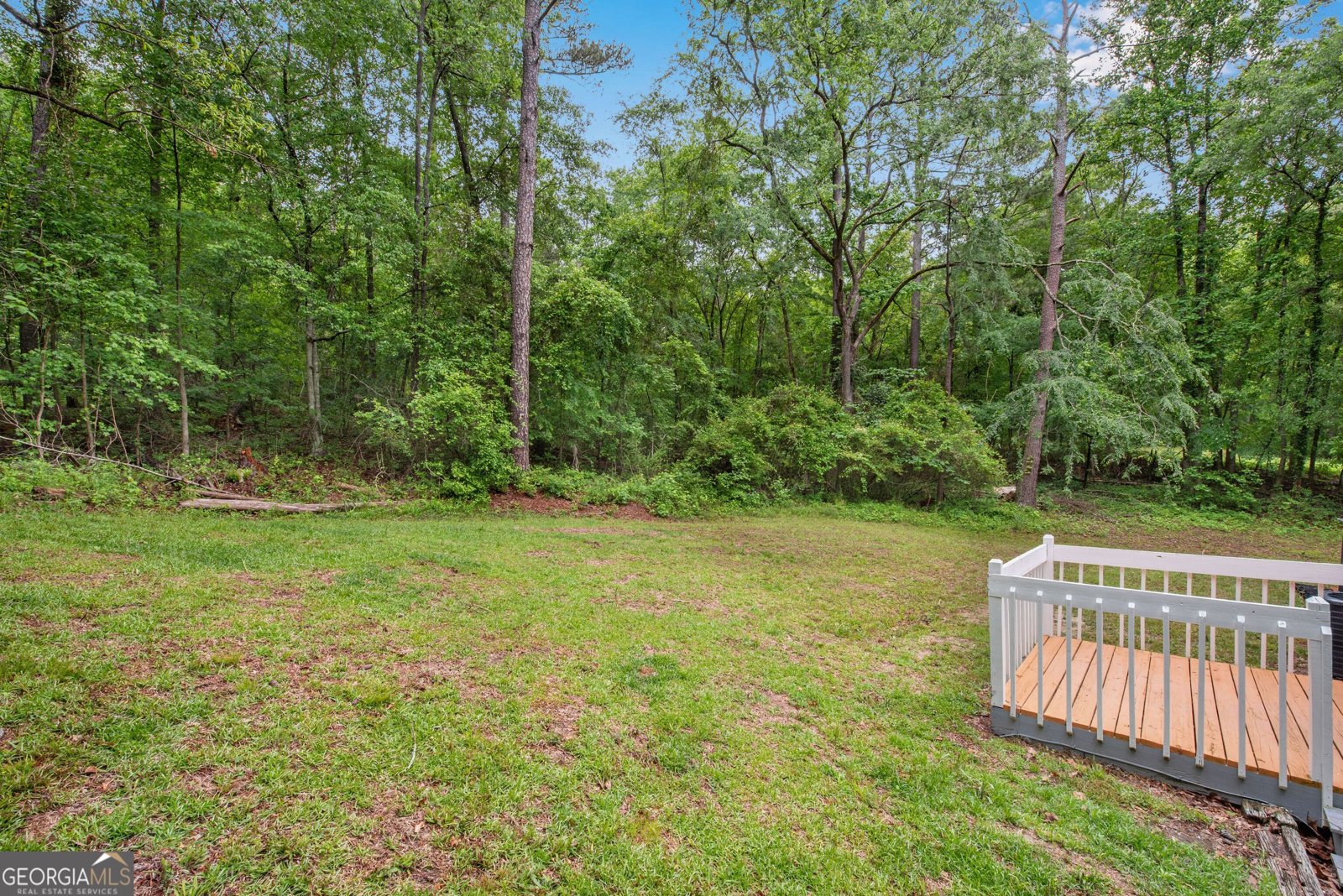 1786 Richard Road Conyers - 25