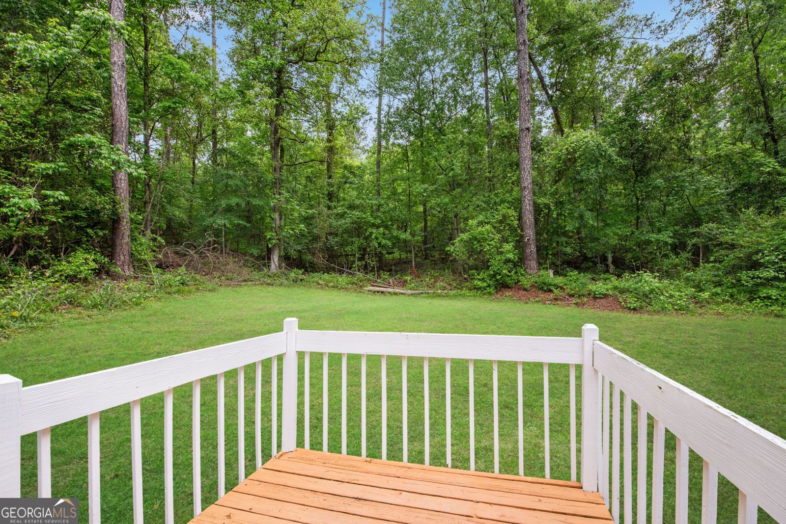 1786 Richard Road Conyers - 9