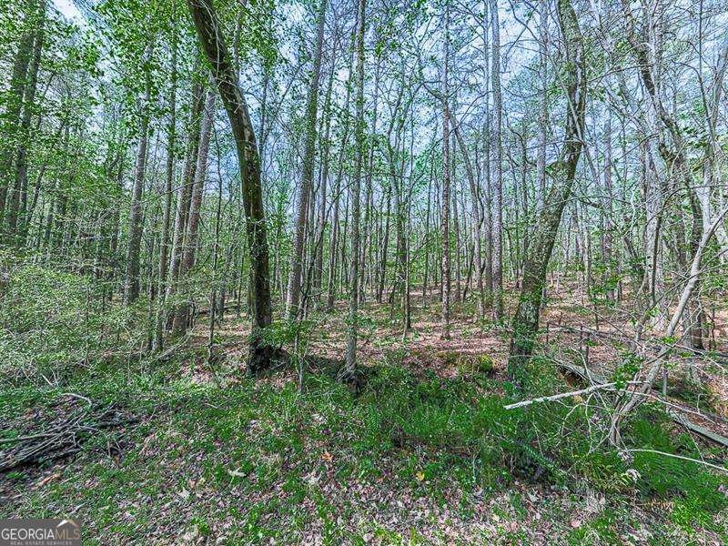 4445 Moon Station Lane Acworth - 17