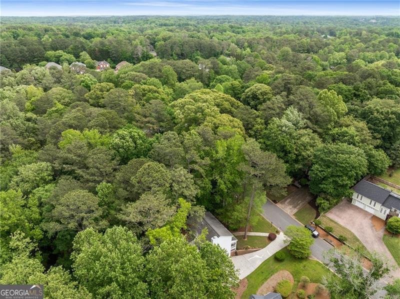 1519 Brookcliff Circle Marietta - 46