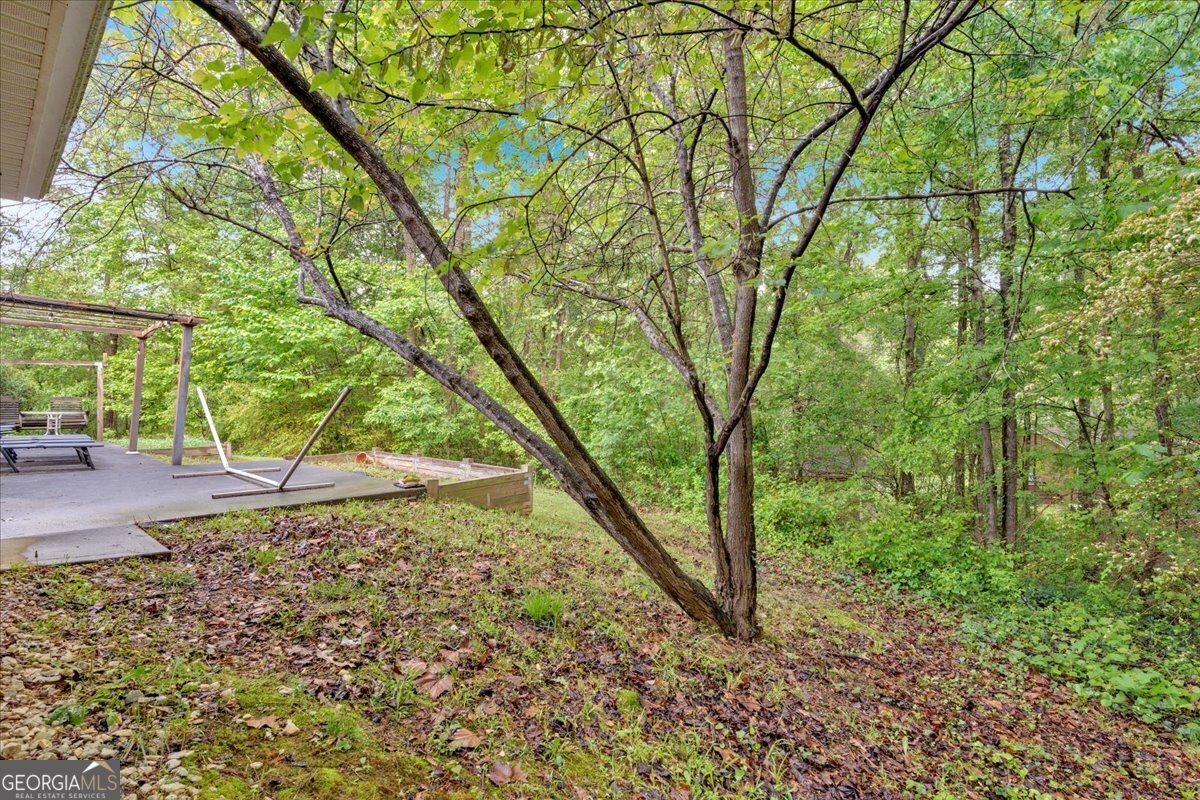 161 Gann Cemetery Road Dallas - 27