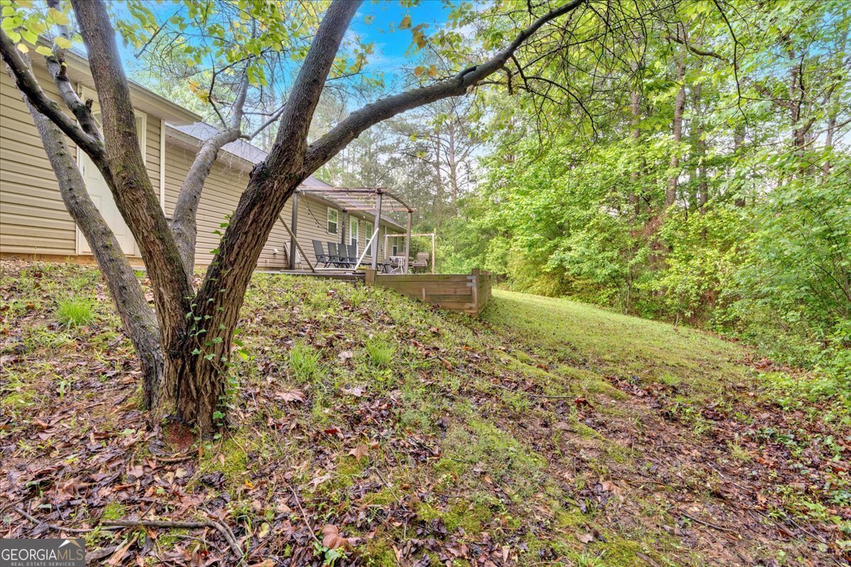 161 Gann Cemetery Road Dallas - 28