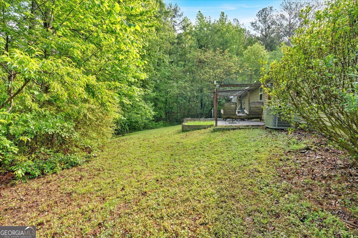 161 Gann Cemetery Road Dallas - 35