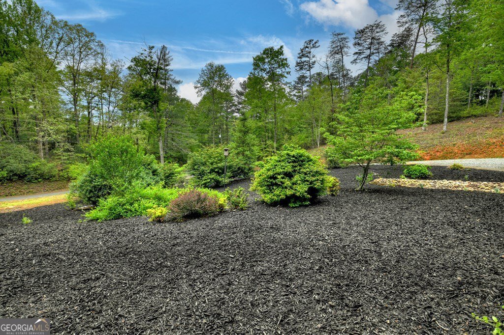 293 James Drive Ellijay - 35