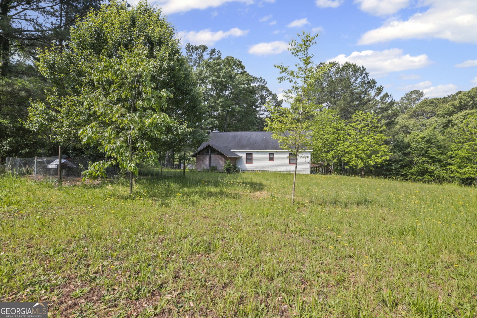 3919 McCullers Road Loganville - 33