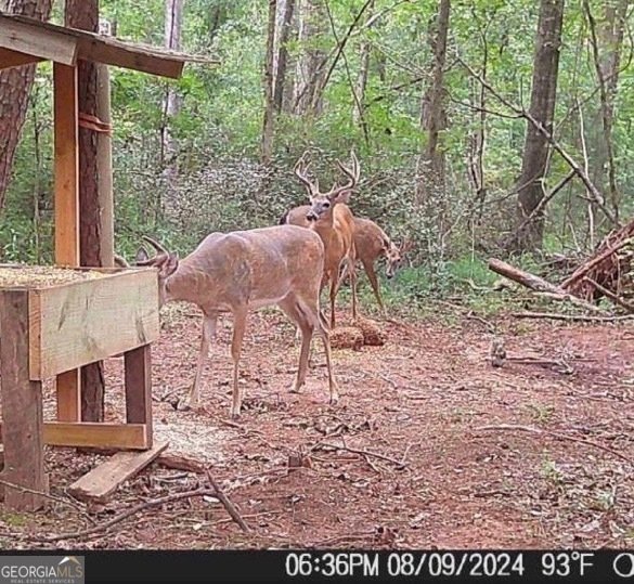 405 Miller Road Covington - 45