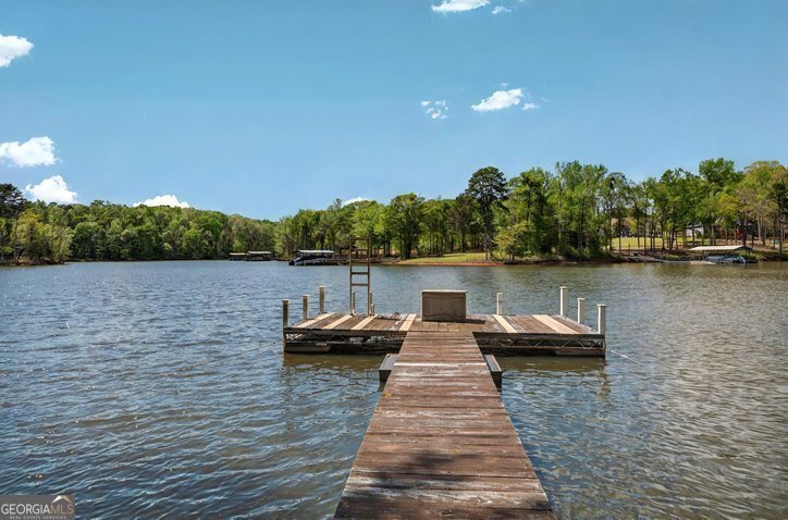 1105 Prater Lane Townville - 26